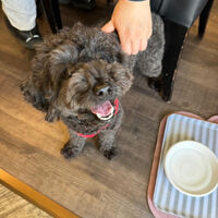 画像36090