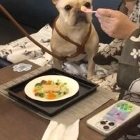 画像36128
