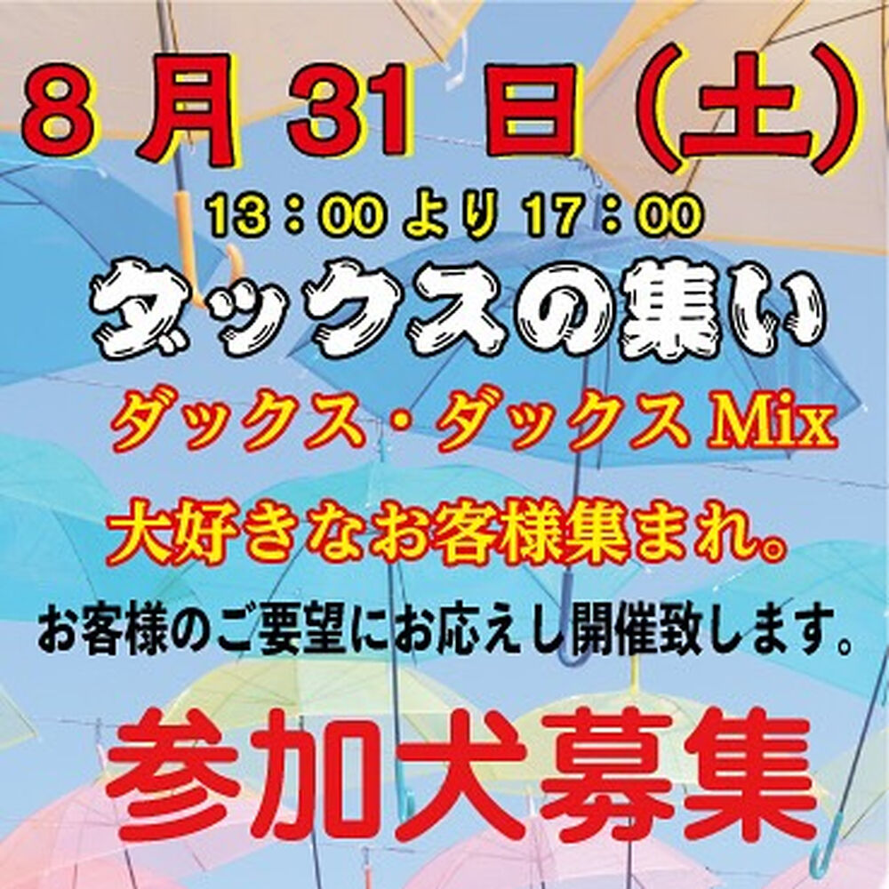 画像36159