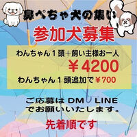 画像36215