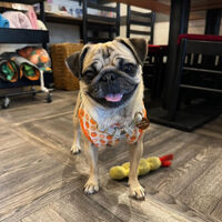 画像36219