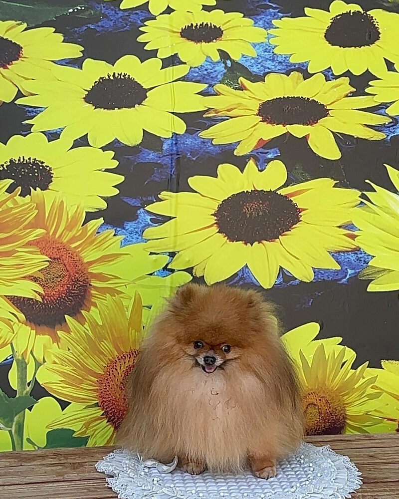 画像36680