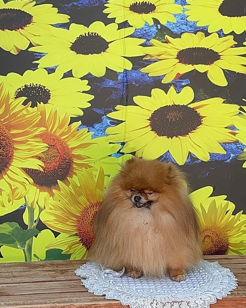 画像36681
