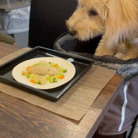 画像36691
