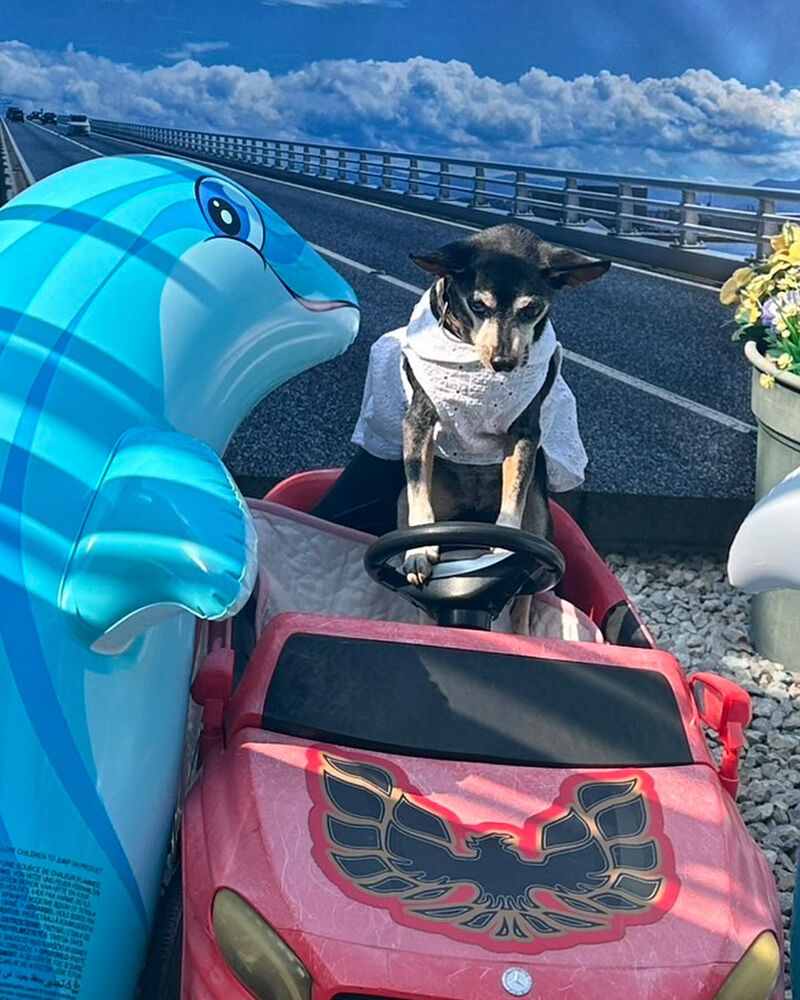 画像36726
