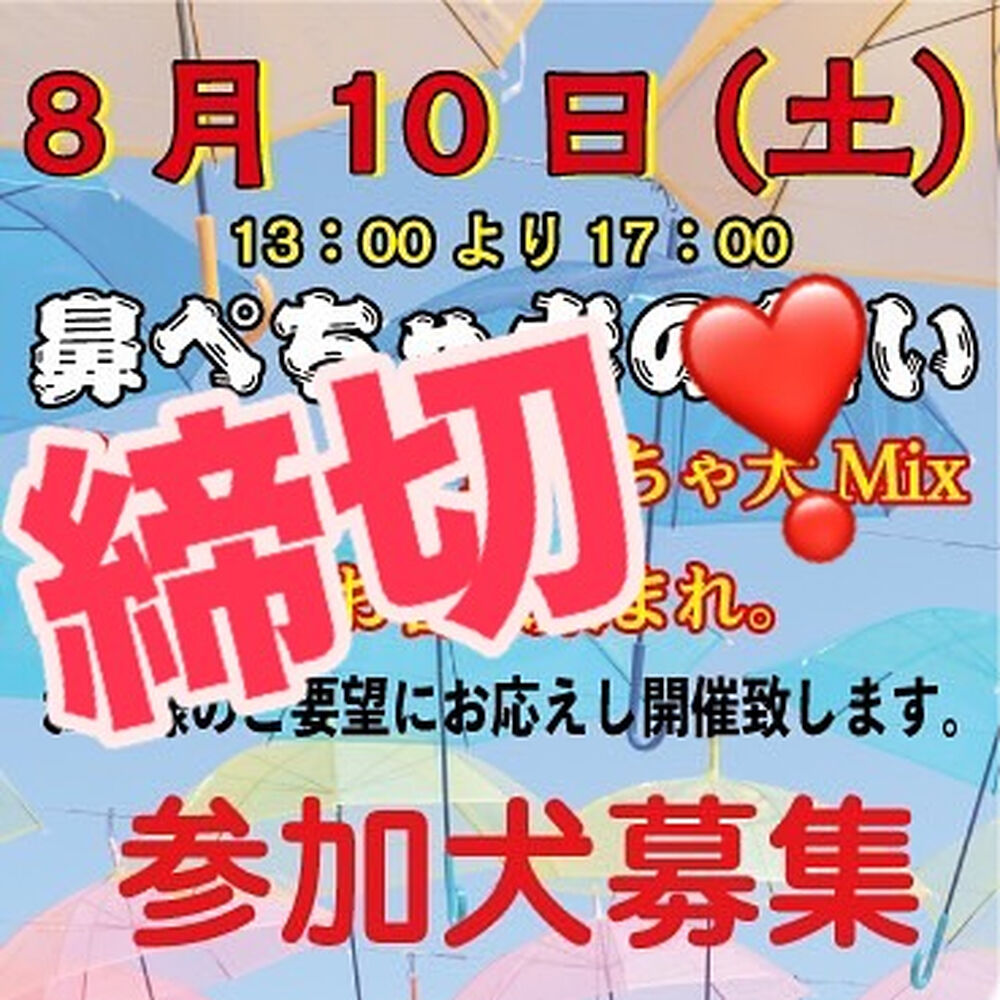画像36746