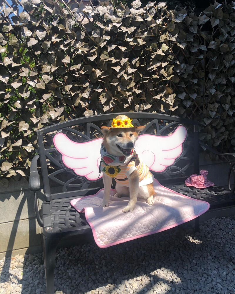 画像36759