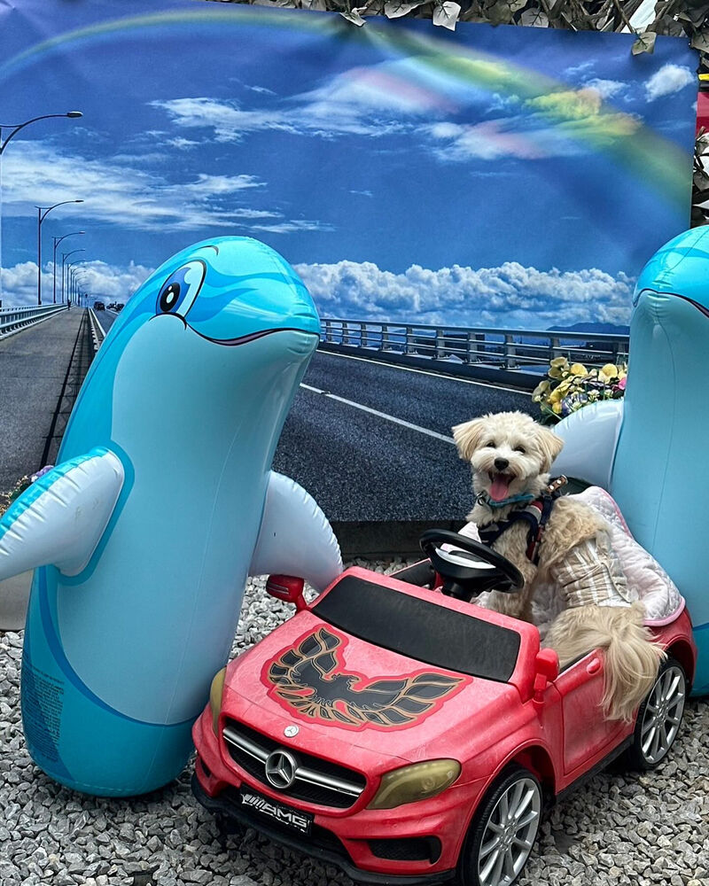 画像36826