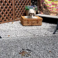 画像36900