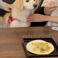 画像36948