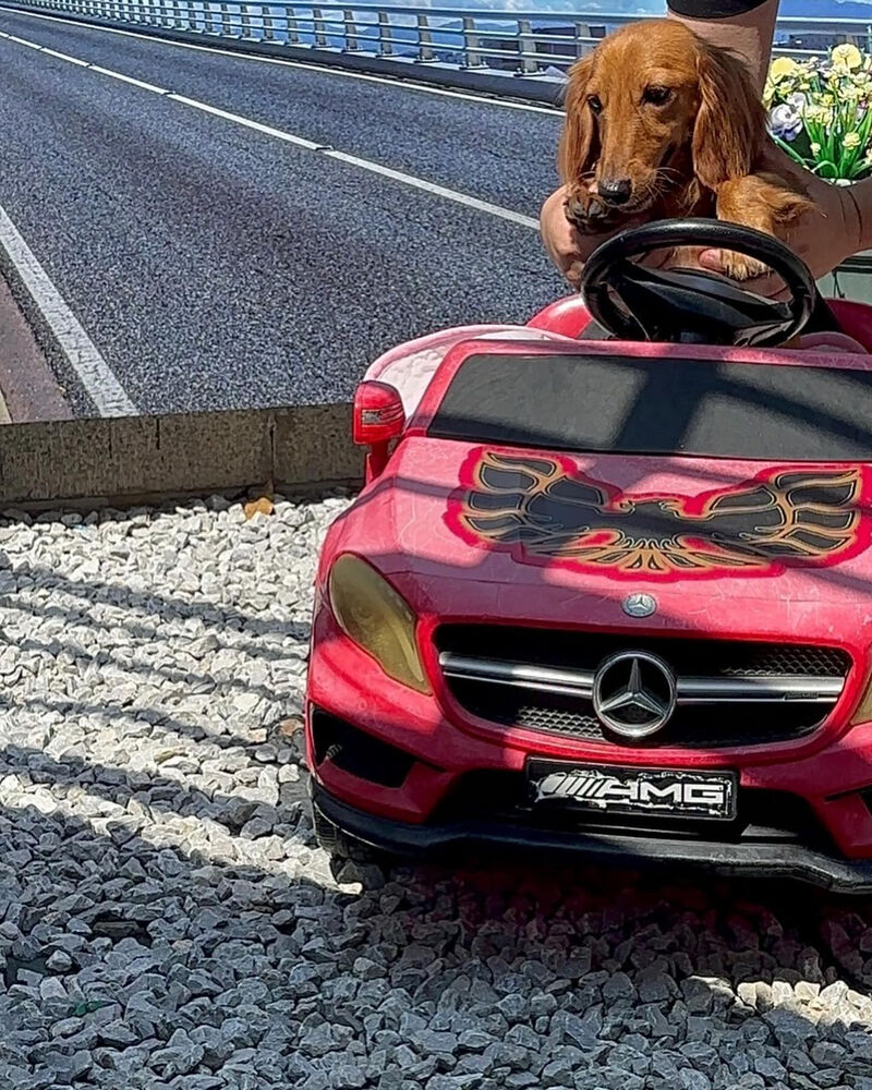 画像36953