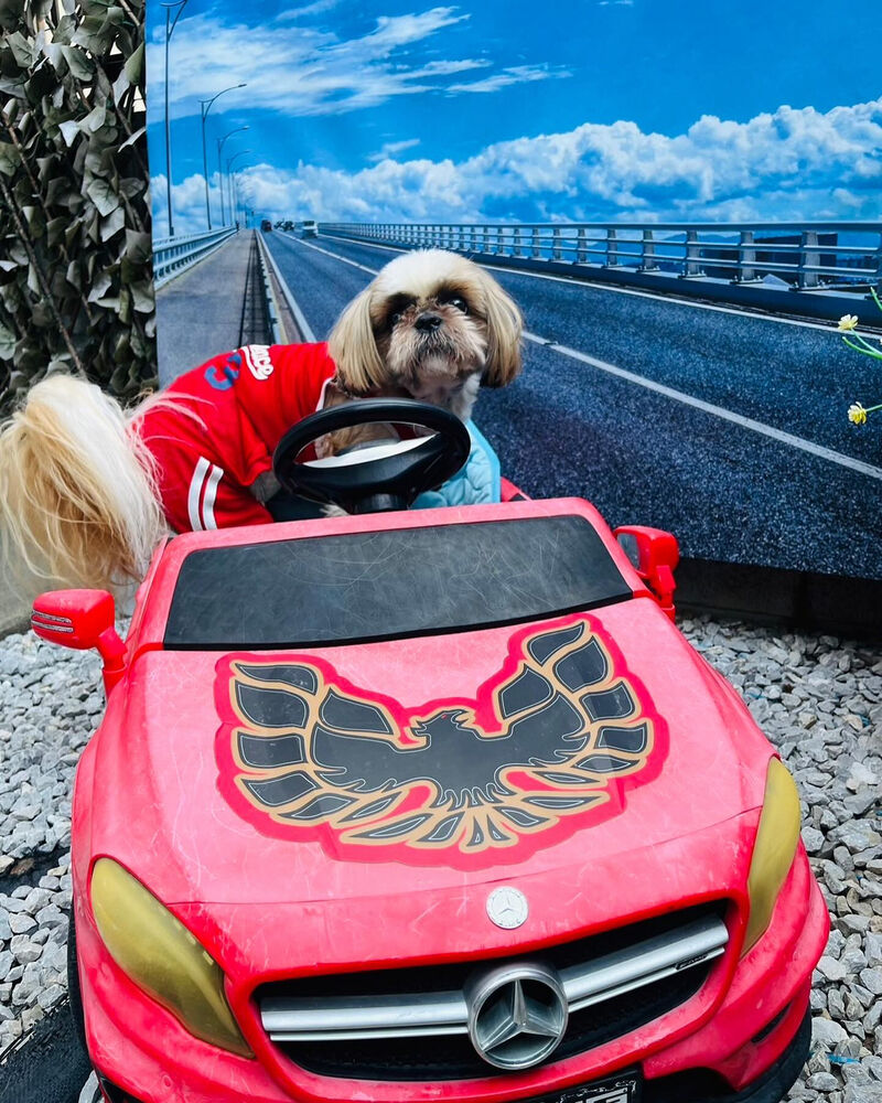 画像37199