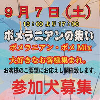画像37678