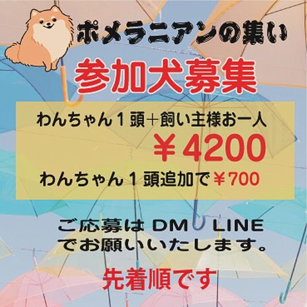 画像37680