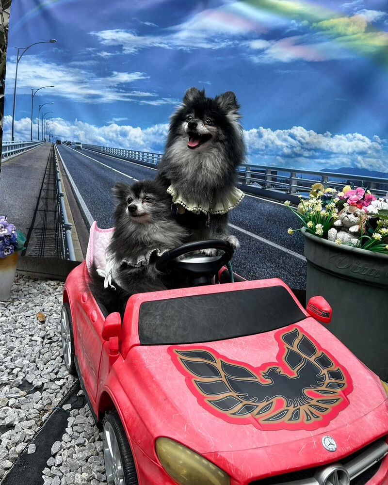 画像37791
