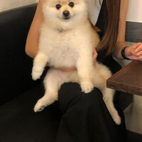 画像37876