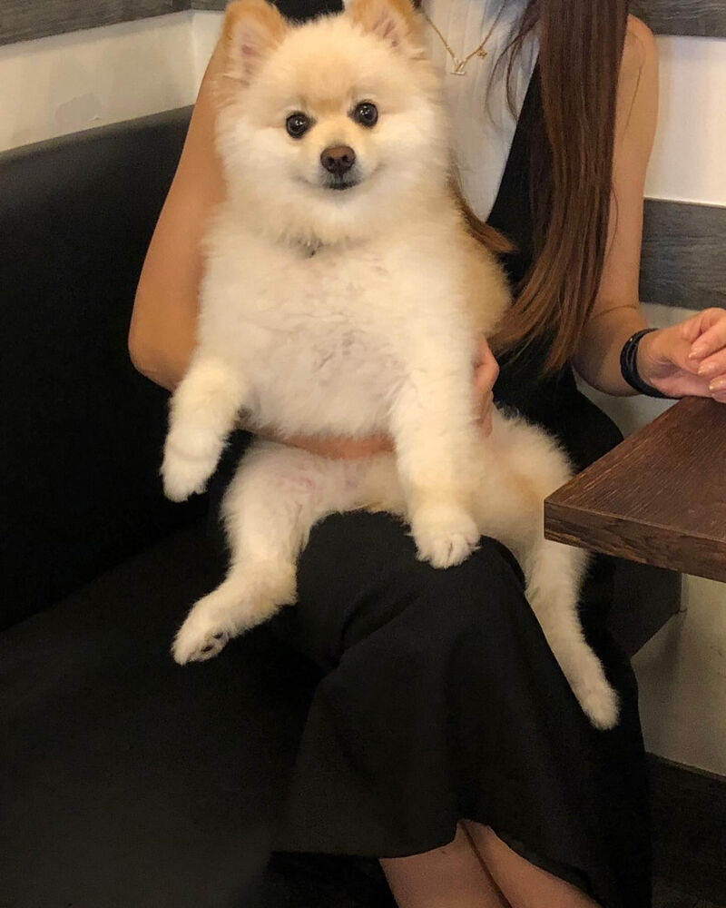 画像37876