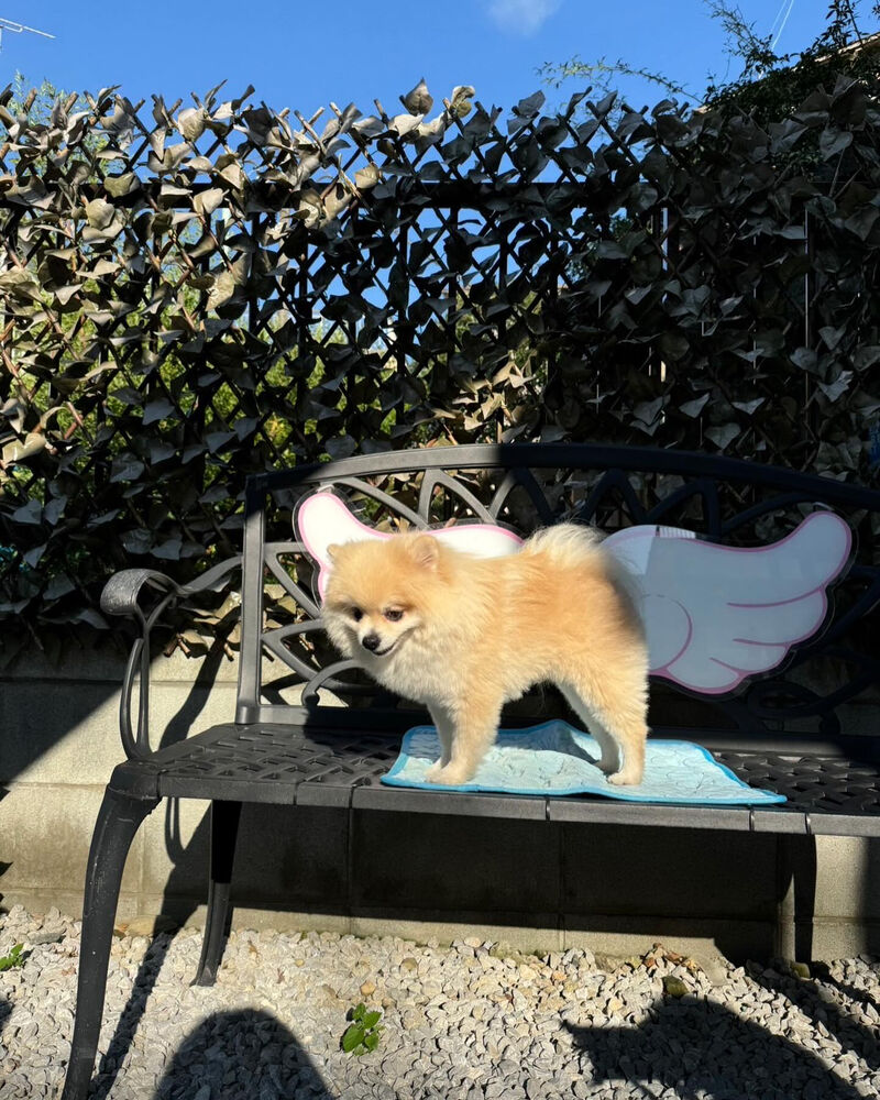 画像37906