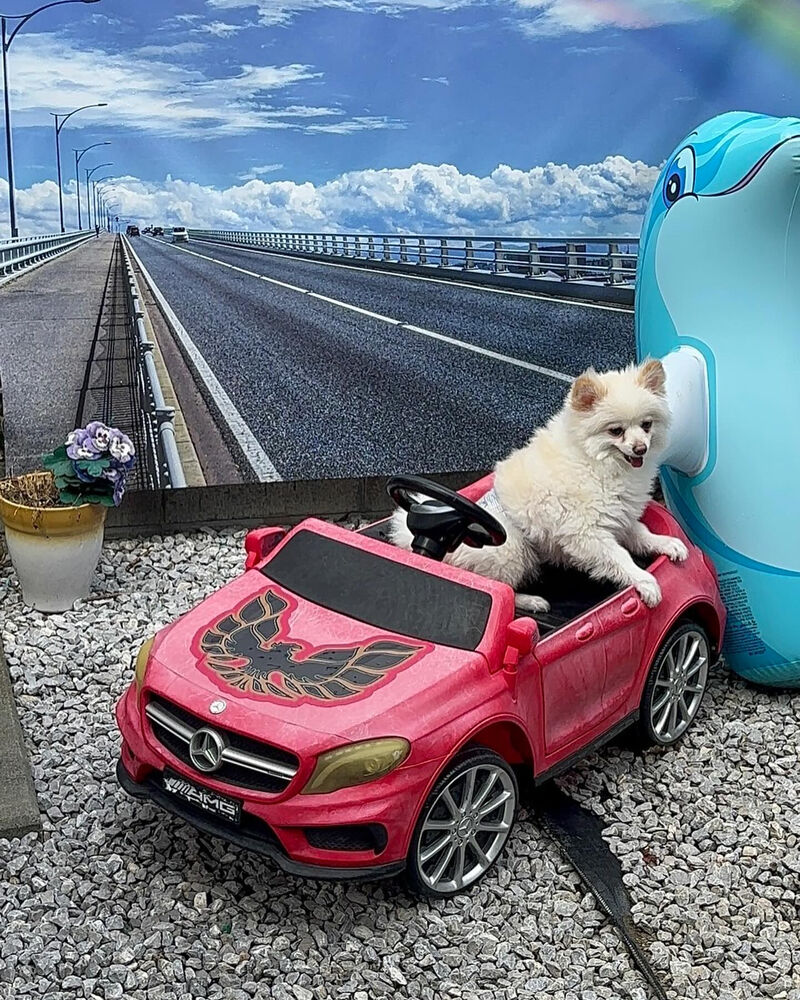 画像37969