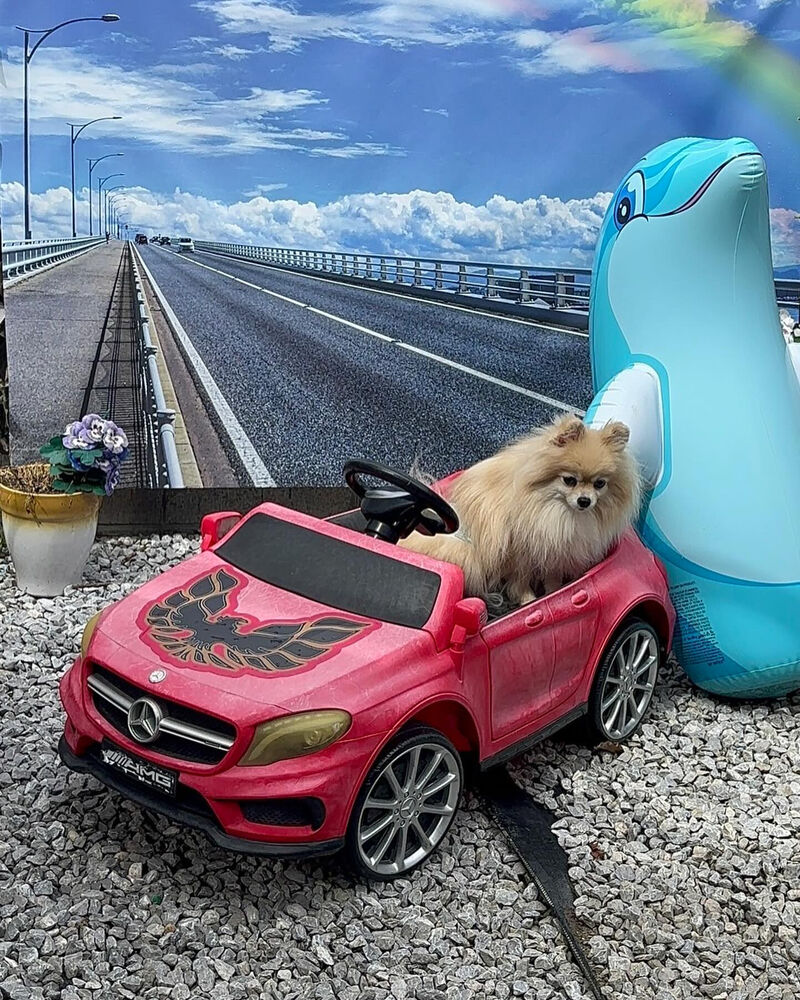 画像37971