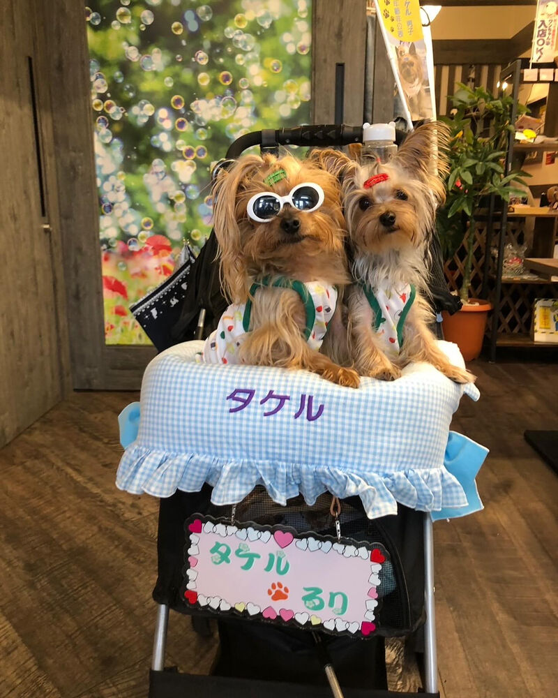 画像38025