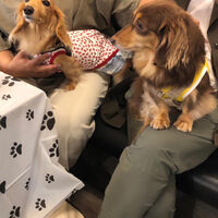 画像38159