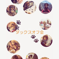 画像38213