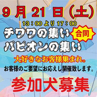 画像38283