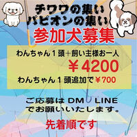 画像38284