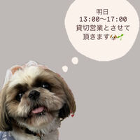画像38366