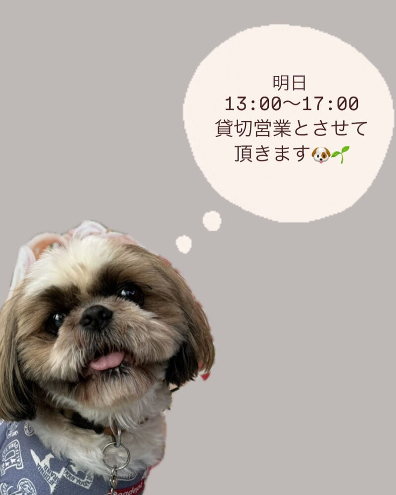 画像38366