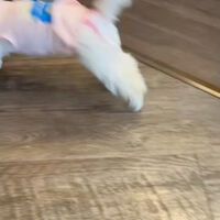 画像38371