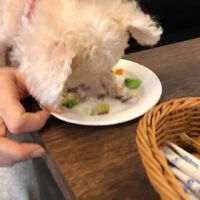 画像38474