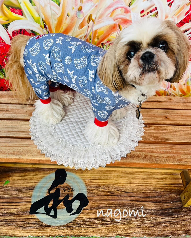 画像38556