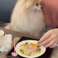 画像38680