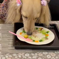 画像38771
