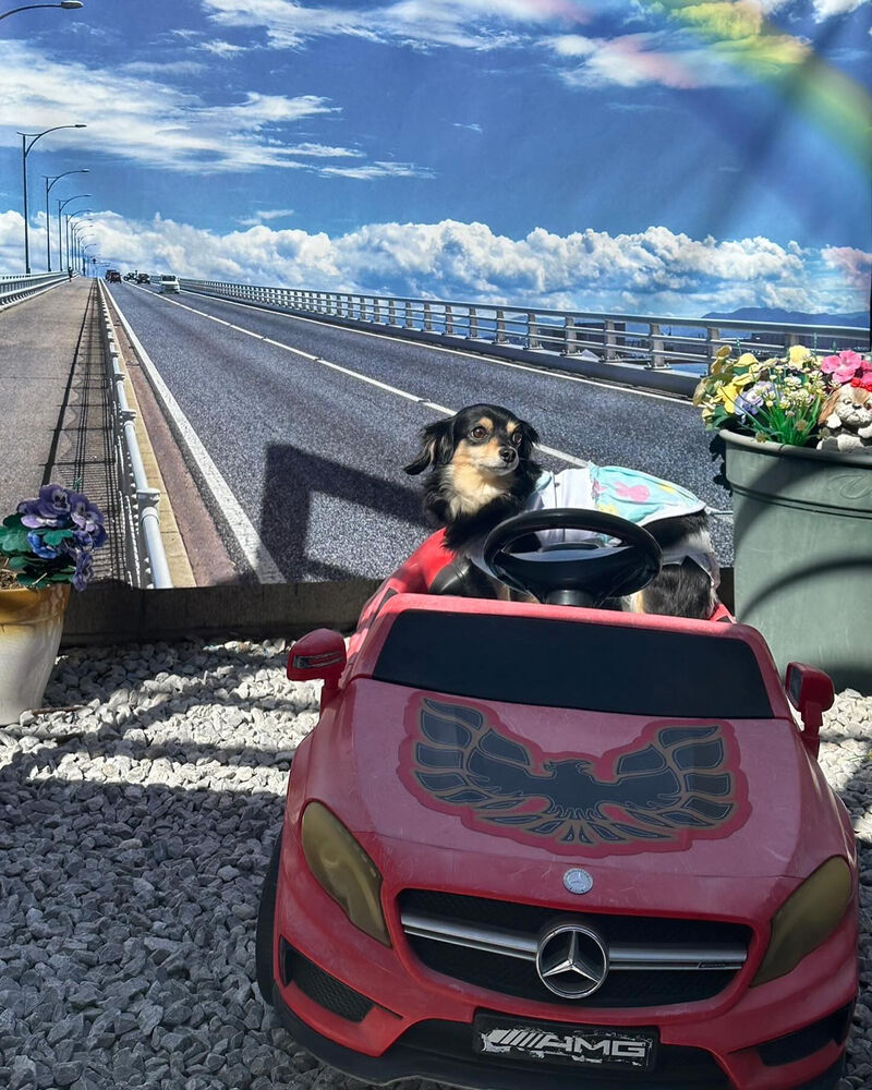 画像38788