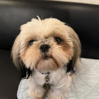 画像38912
