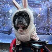 画像3898