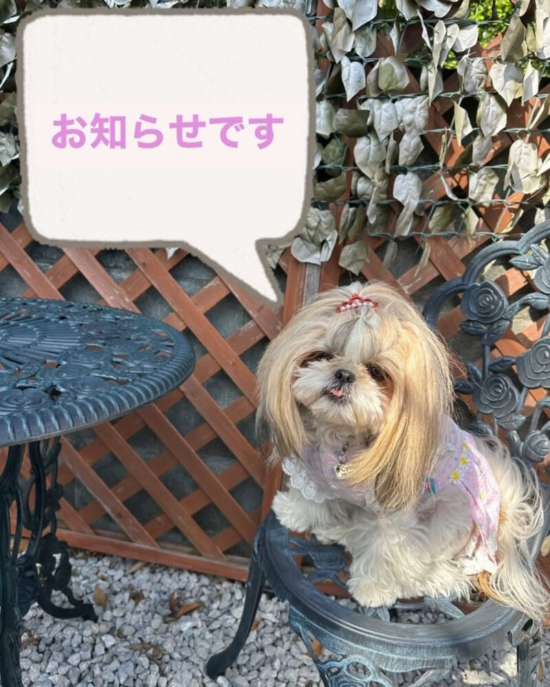 画像38999