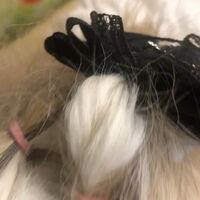 画像39225