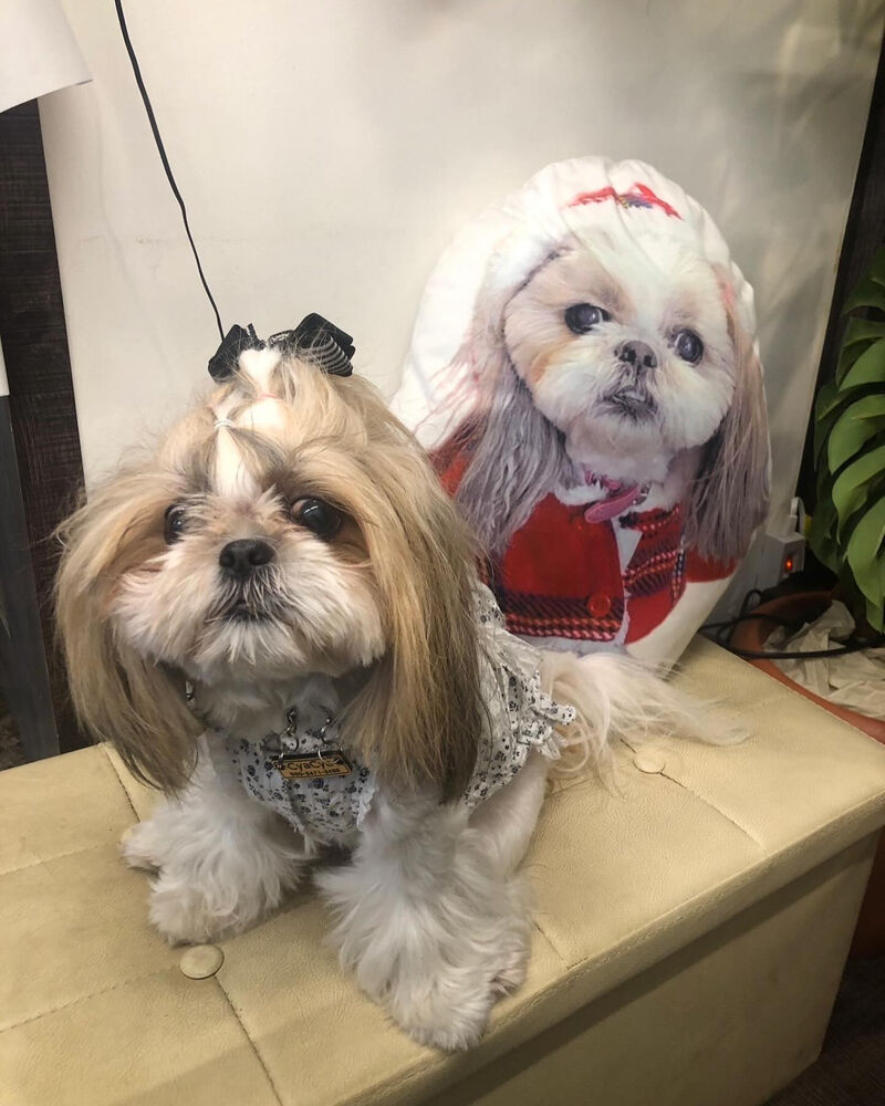 画像39229