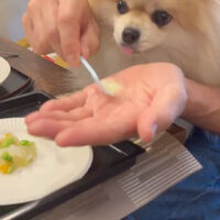 画像39556