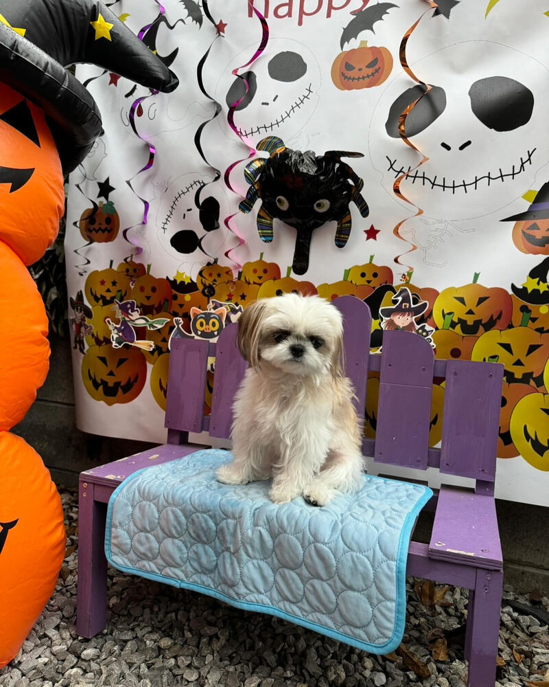 画像39632