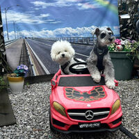画像39887