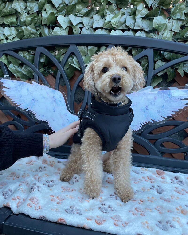 画像3999
