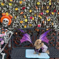 画像40129