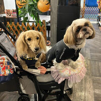 画像40134