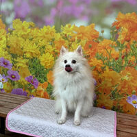 画像40207