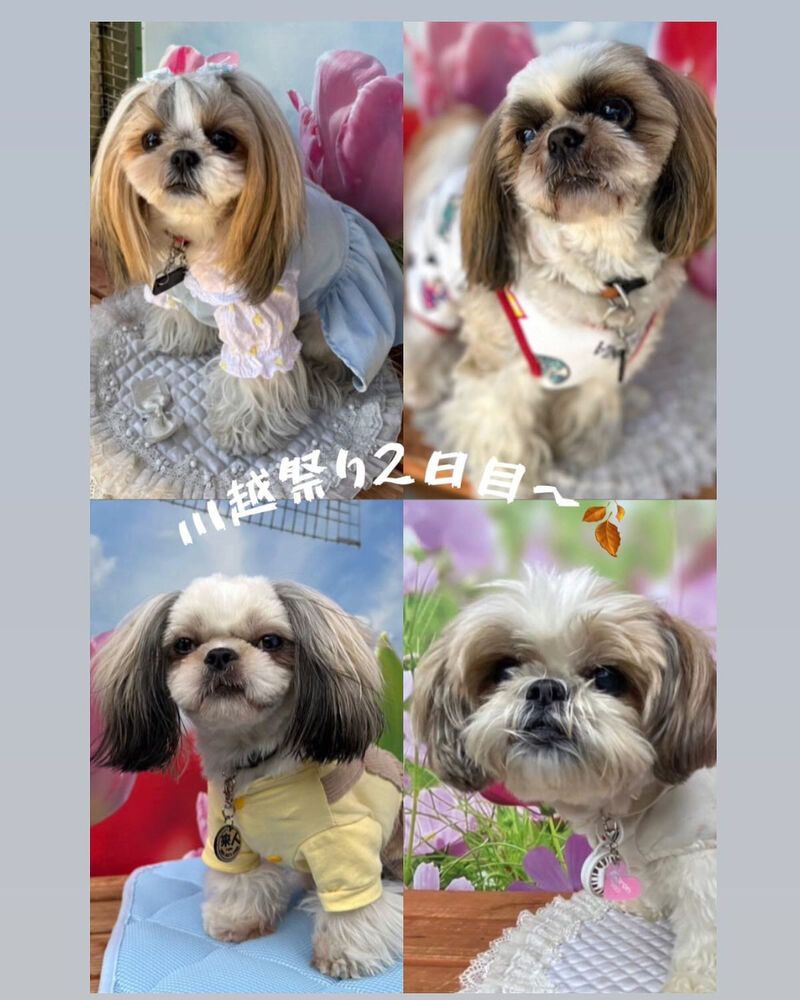 画像40571
